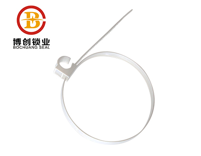 BC-P303 High demand double lock plastic lock seal